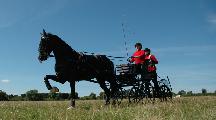 Carriage Driving